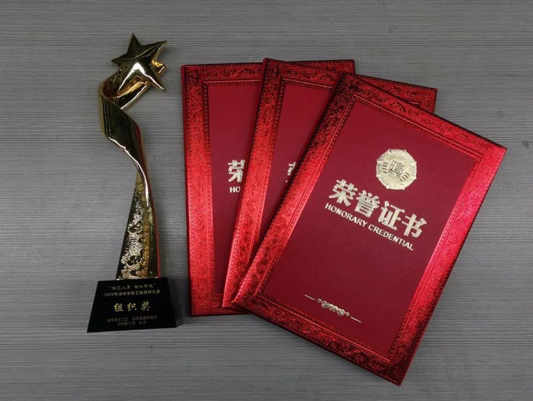 湖南省职工短视频大赛z6com·尊龙(中国)时凯集团智能荣获多项奖励